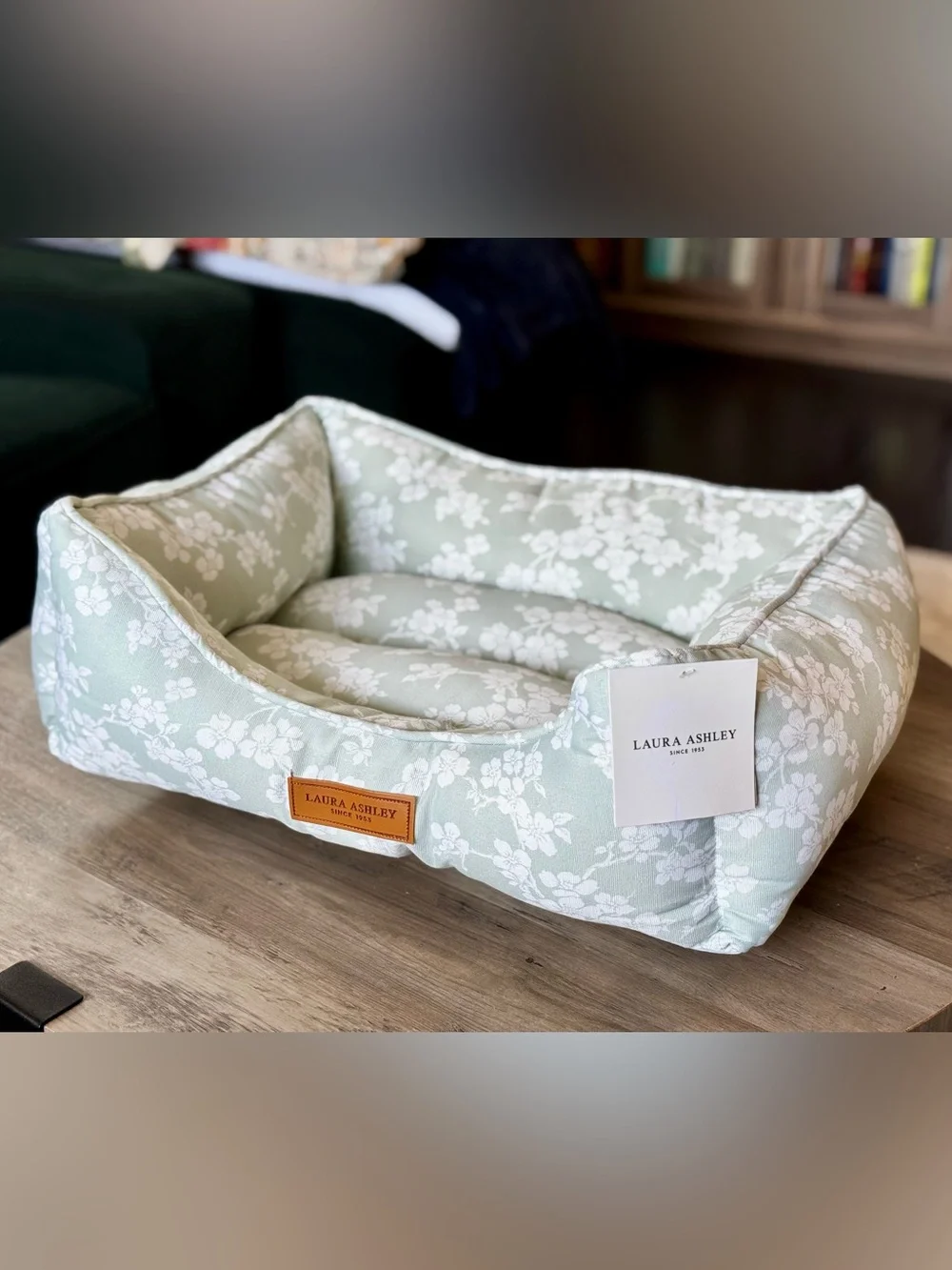 Laura Ashley stylish pet
